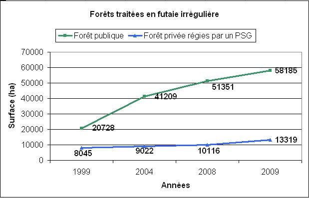 Irr__gulier.JPG
